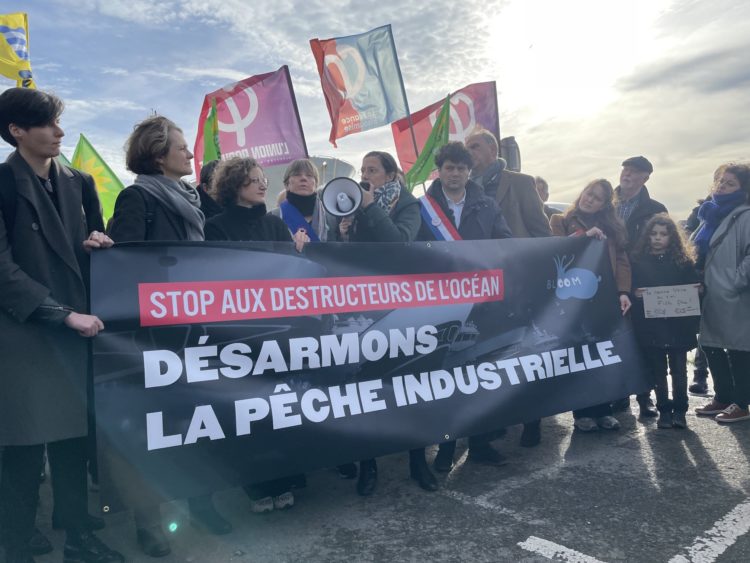Manifestation à Saint-Malo contre la pêche industrielle à l'appel de Bloom et Pleine Mer